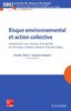 ebook - Risque environnemental et action collective