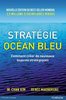 ebook - Stratégie Océan Bleu