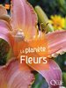 ebook - La planète fleurs