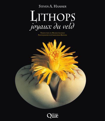 ebook - Lithops