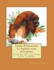 ebook - Conte d'Amazonie   Le hurleur roux et le puma