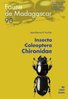 ebook - Insecta Coleoptera Chironidae