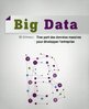 ebook - Big Data - Tirer parti des données massives pour développ...