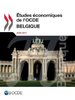 ebook - Études économiques de l'OCDE : Belgique 2017
