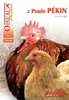 ebook - La poule pékin