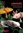 ebook - Les axolotls