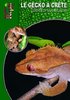 ebook - Le gecko à crête