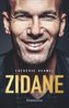 ebook - Zidane