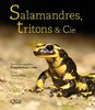 ebook - Salamandres, tritons & Cie