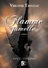 ebook - Flamme Jumelle, L’initiation Livre 1