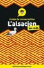 ebook - L'alsacien - Guide de conversation Pour les Nuls, 3e