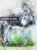 ebook - Comme un âne