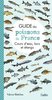 ebook - Guide des poissons de France