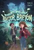 ebook - Sur les traces du fabuleux trésor breton - Lecture roman ...