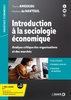 ebook - Introduction à la sociologie économique